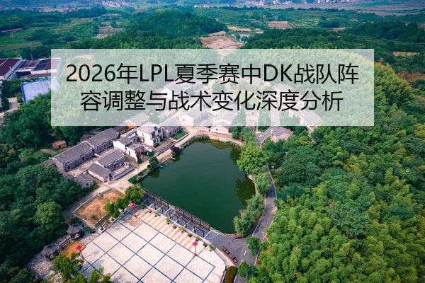 2026年LPL夏季赛中DK战队阵容调整与战术变化深度分析