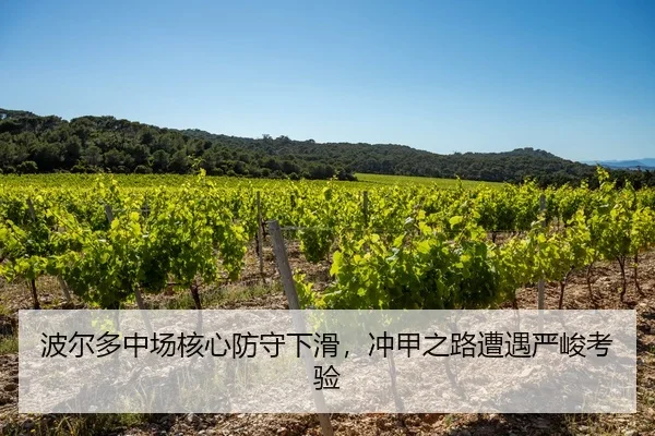 波尔多中场核心防守下滑，冲甲之路遭遇严峻考验