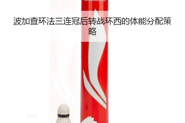 bo-jia-cha-huan-fa-san-lian-guan-hou-zhuan-zhan-huan-xi-de-ti-neng-fen-pei-ce-lve-2-679.jpg